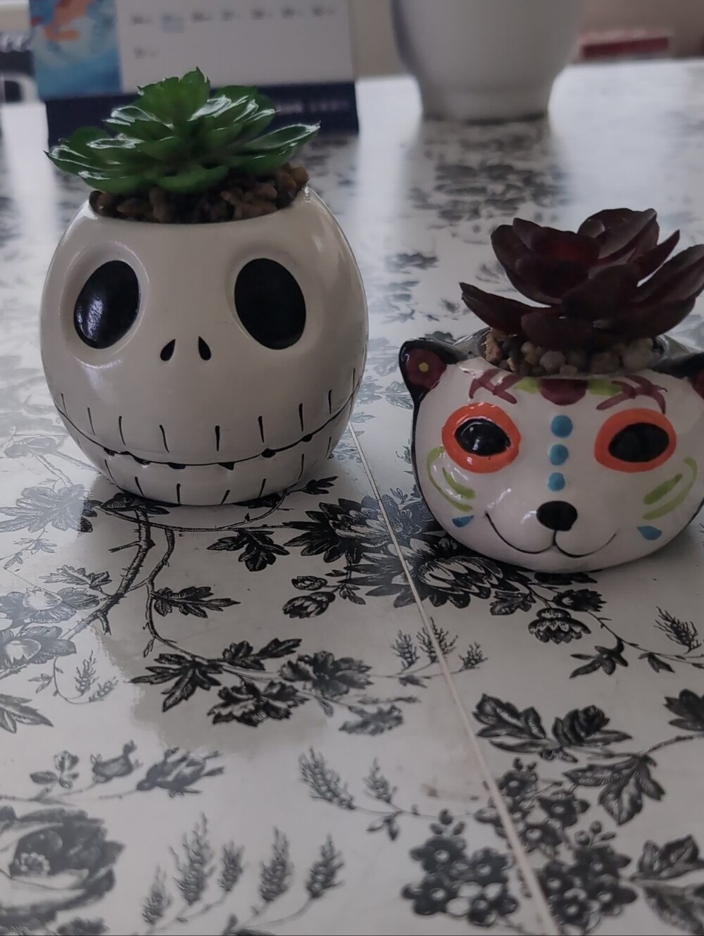 Ceramic Skull Planter - Fake Succulents